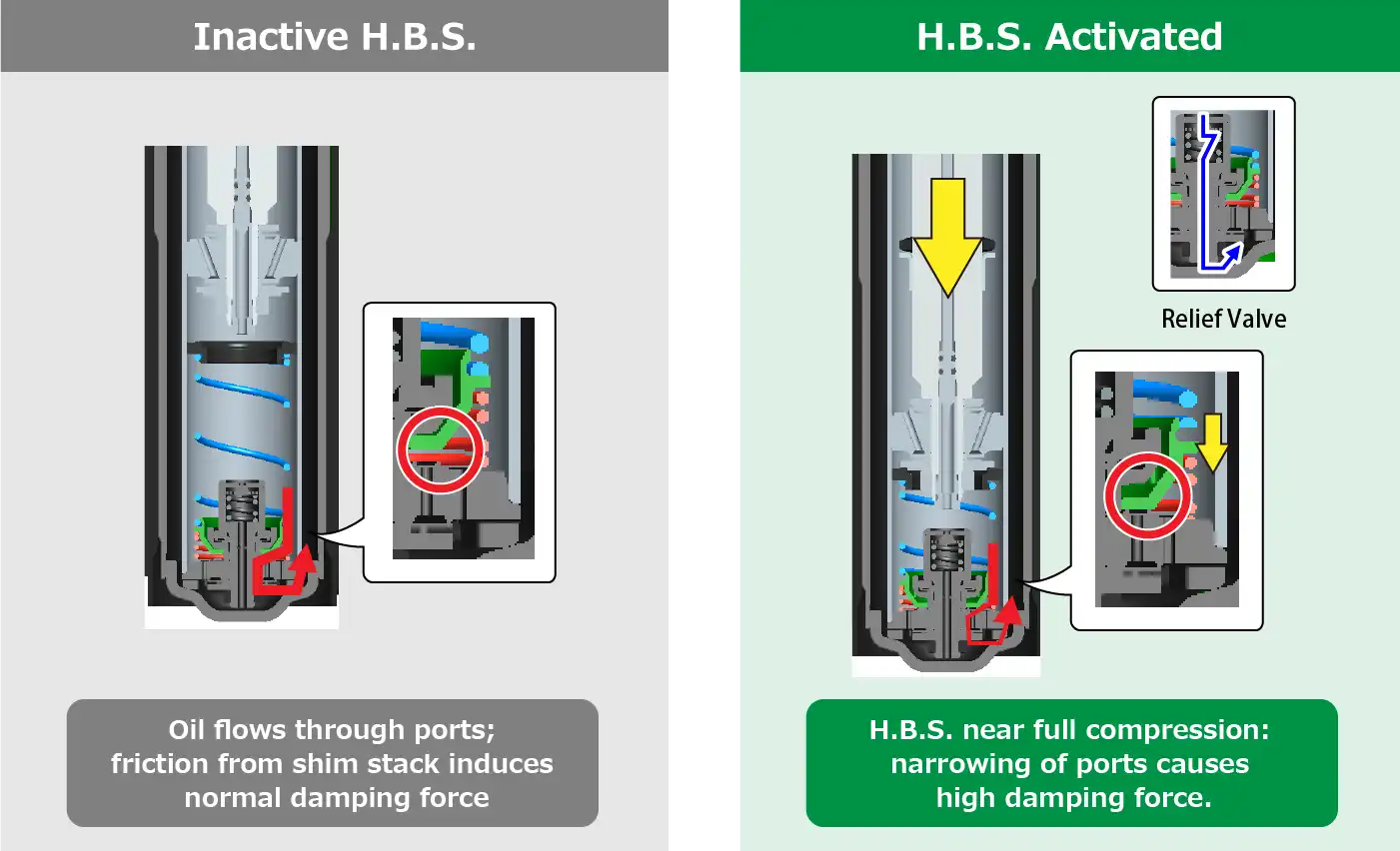 Inactive H.B.S./H.B.S. Activated